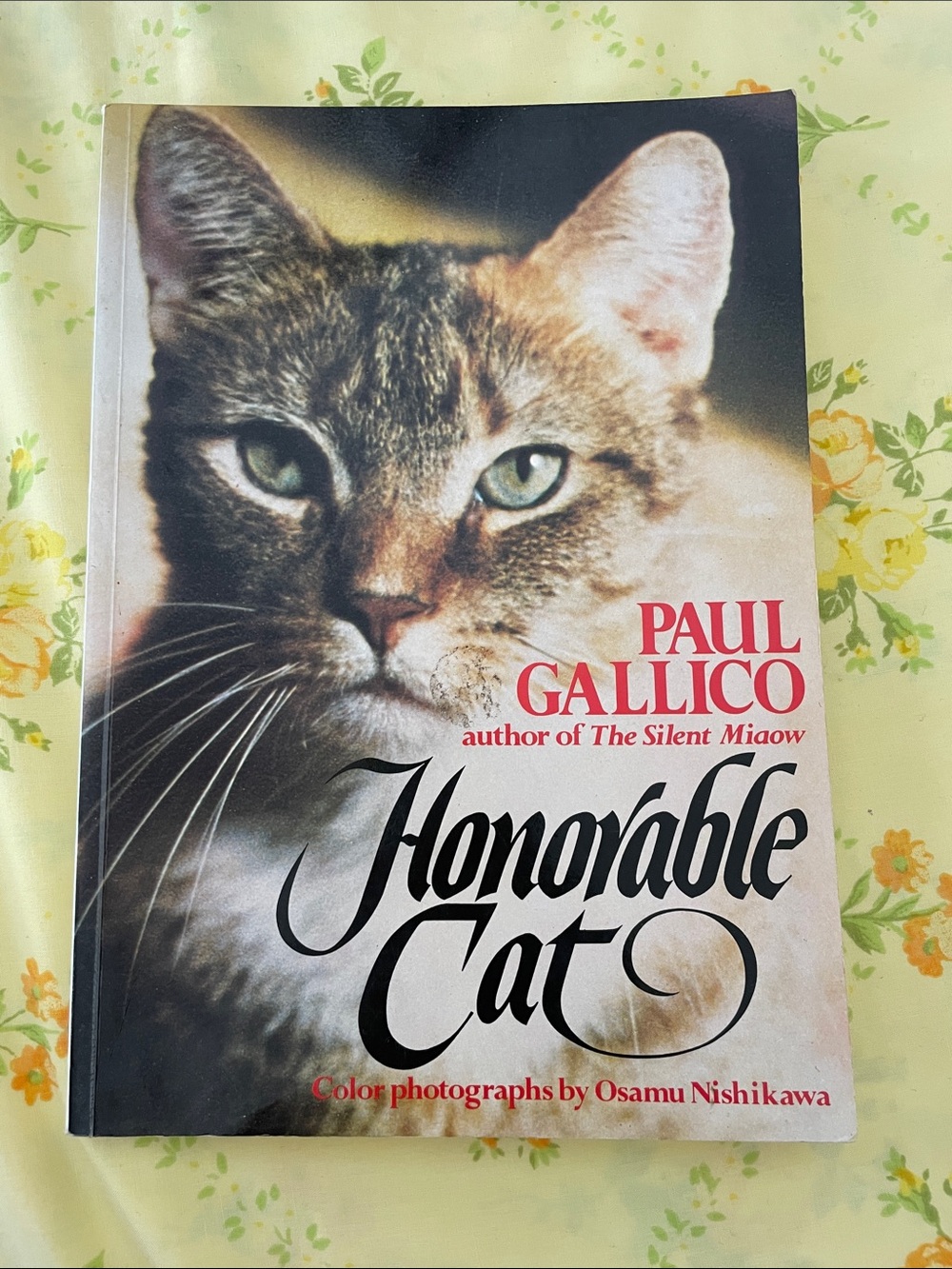 Honorable Cat – poem picture book